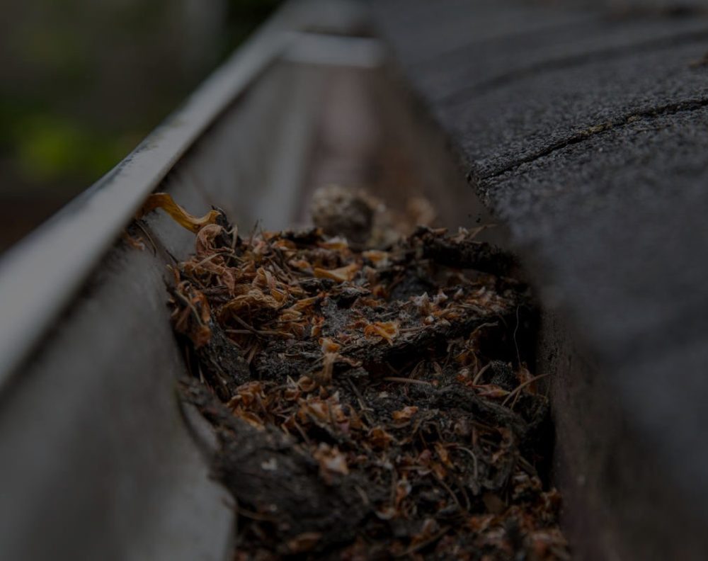 Gutter Cleaning Oakland County