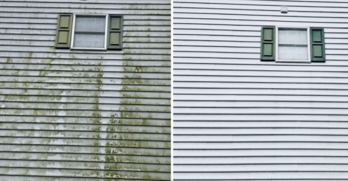 soft wash bloomfield hills